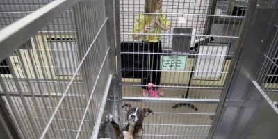 Sarah McDonner, a volunteer for Wild Tunes, which aims to soothe stressed shelter animals with live music, plays the flute at the Denver Animal Shelter