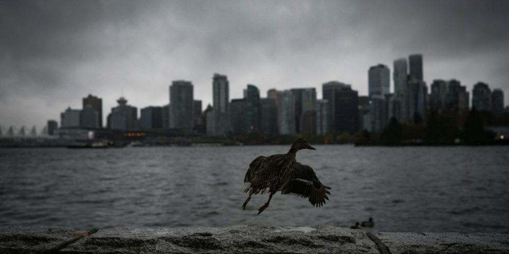 Bomb cyclone batters B.C. with hurricane-force winds, cutting roads and power