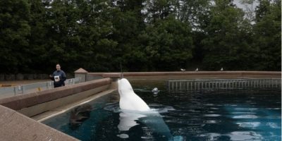 Nov 8 Marineland