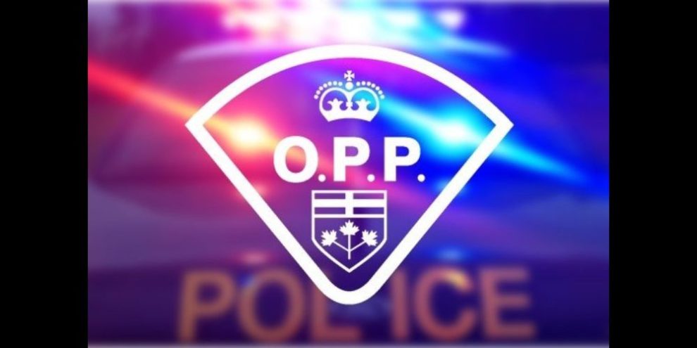 OPP - impaired driver - Angus