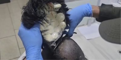 Colombian police catch a man smuggling packets of cocaine under toupee