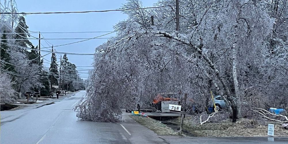 Freezing Rain Causes Major Power Outages and Travel Disruptions in Barrie