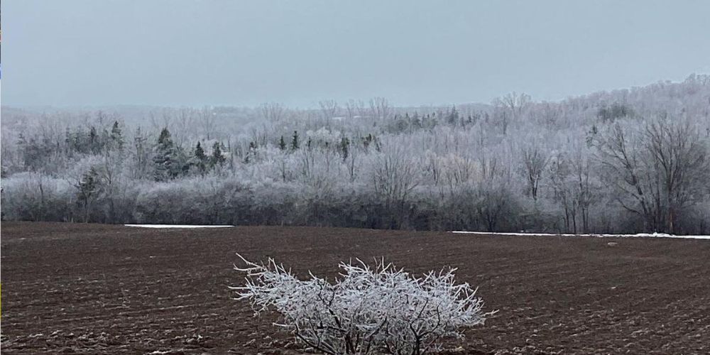 Tens of thousands without power as ice storm hits parts of Ontario