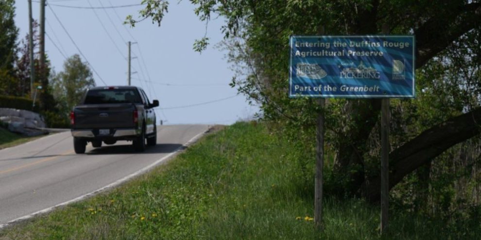 CP - Greenbelt scandal