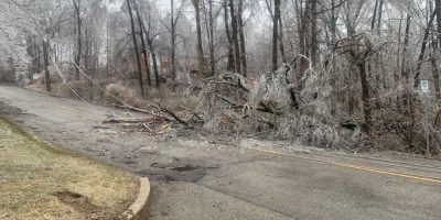 Ice storm damage - City of Barrie