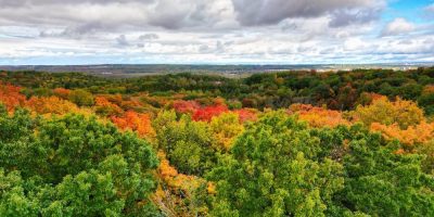 Barrie - Conservation Trust