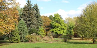 Sunnidale Park in Barrie