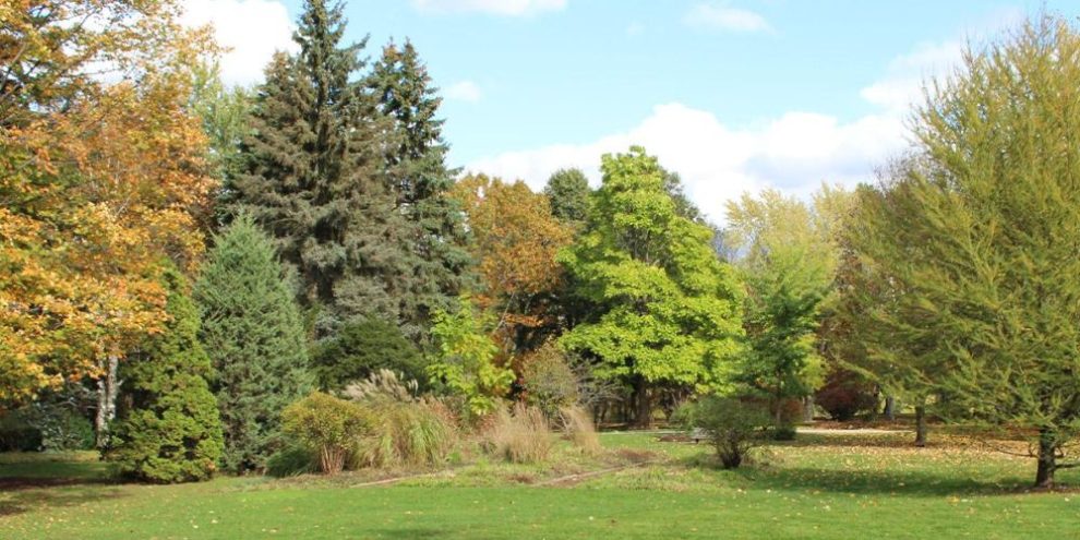 Sunnidale Park in Barrie