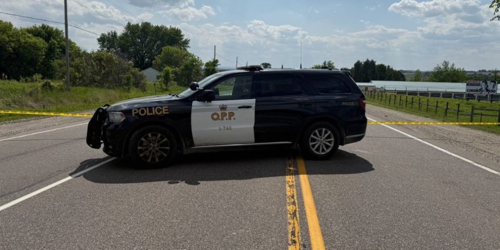 OPP - fatal collision - New Tecumseth