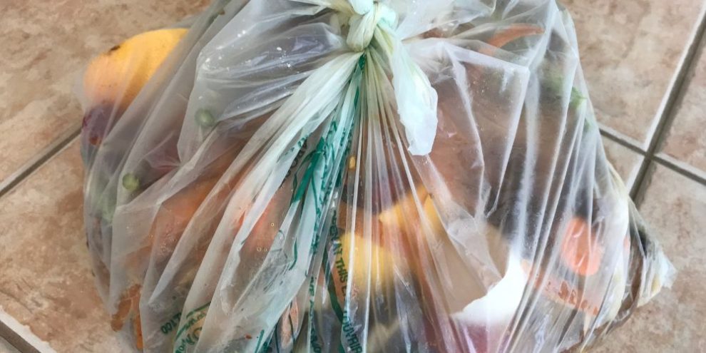 Organics waste bag