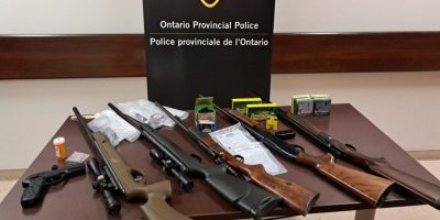 Weapons investigation in New Tecumseth leads to arrests following death of cat