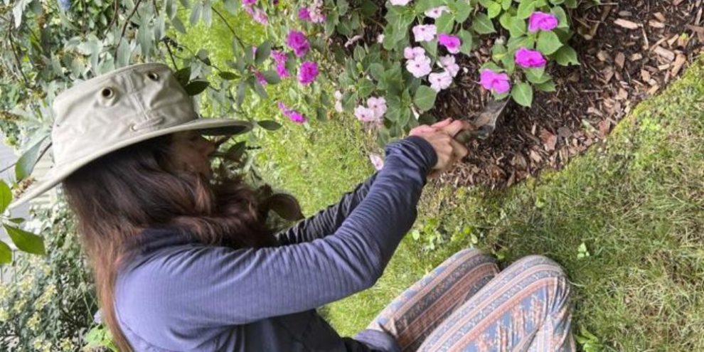 AP - Gardening NY