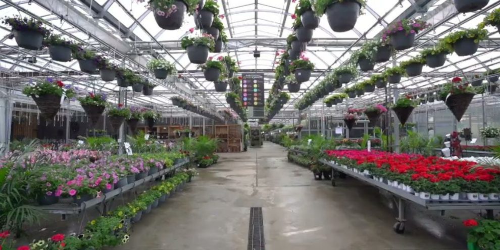 Bradford Greenhouses Garden Gallery