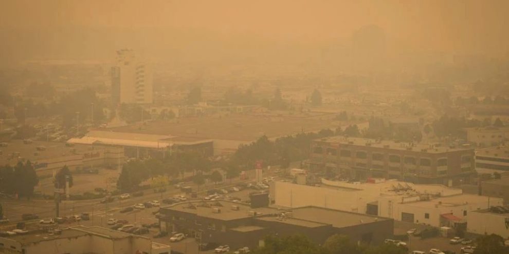 Study estimates 2023 Canadian wildfire smoke caused 82,000 premature deaths globally