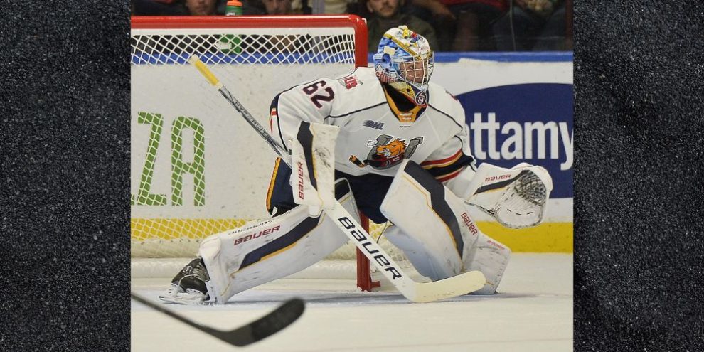 Hrebik steals a point for Colts in shootout loss to Owen Sound