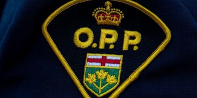 Couple in northern Ontario injured after bear enters home, attacks them