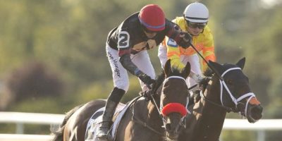 CP - Runaway Again 2025 Prince of Wales Stakes