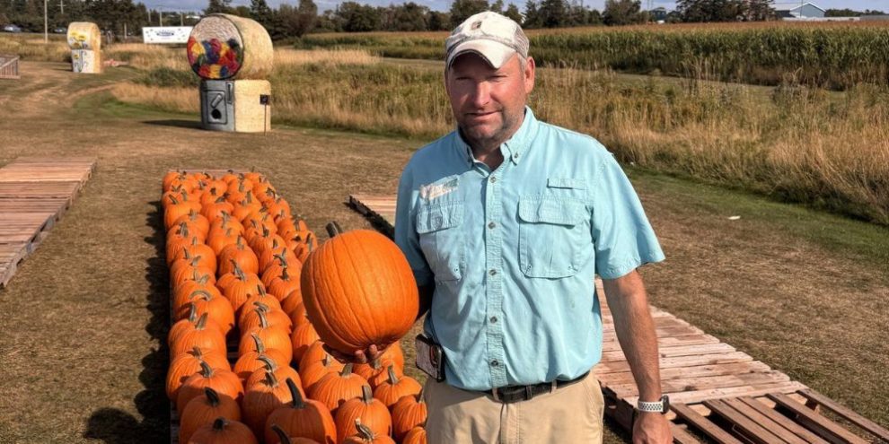CP - Greg McKenzie Pumpkins