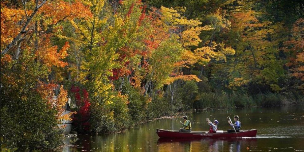 AP - Maine foliage