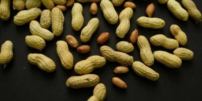 Advice to feed babies peanuts early and often helped 60,000 kids avoid allergies