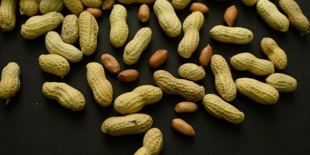 Advice to feed babies peanuts early and often helped 60,000 kids avoid allergies