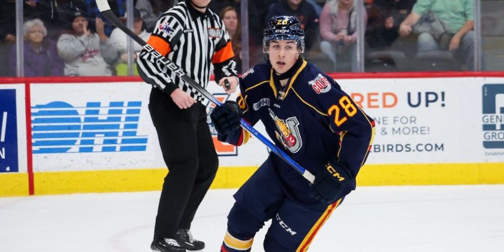 Hemming dominates in overtime win over top-ranked Bulldogs