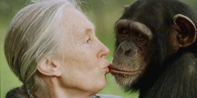 Jane Goodall, conservationist renowned for chimpanzee research and environmental advocacy, has died