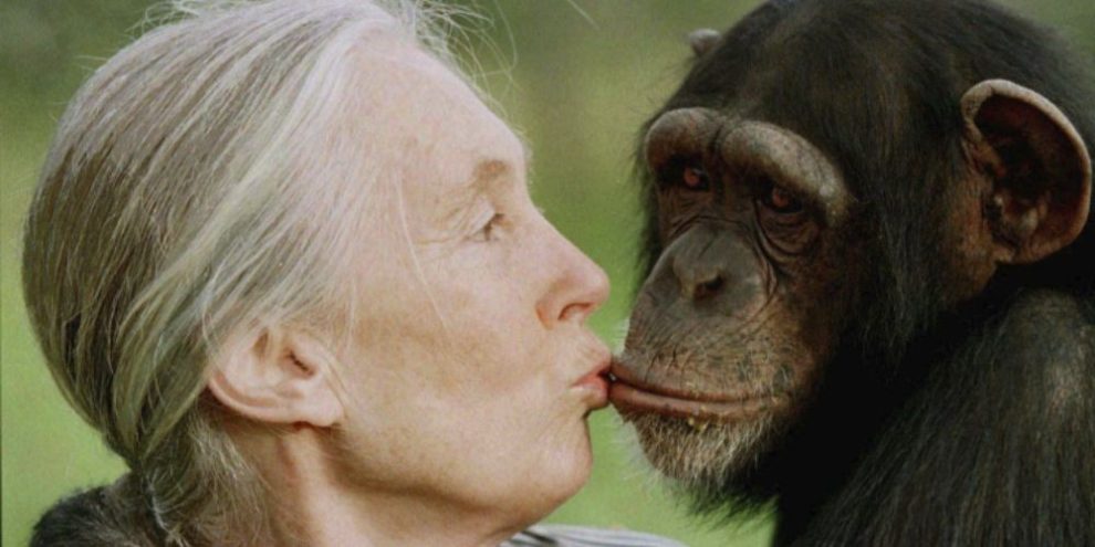 Jane Goodall, conservationist renowned for chimpanzee research and environmental advocacy, has died
