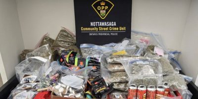 Search warrant nets significant cannabis seizure in Alliston