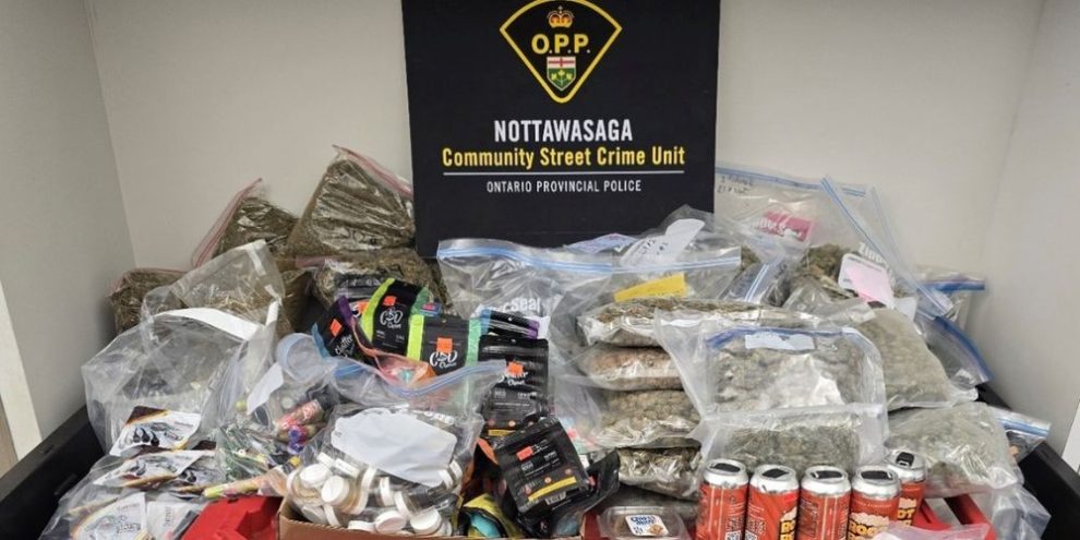 Search warrant nets significant cannabis seizure in Alliston