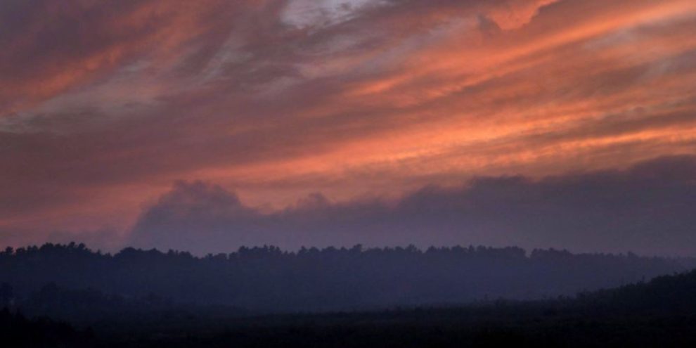 Wildfires burned nearly 6,000 square kilometres in Ontario this year: ministry