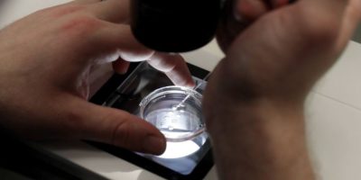 Advocates disappointed budget offered no funding for IVF, despite campaign pledge