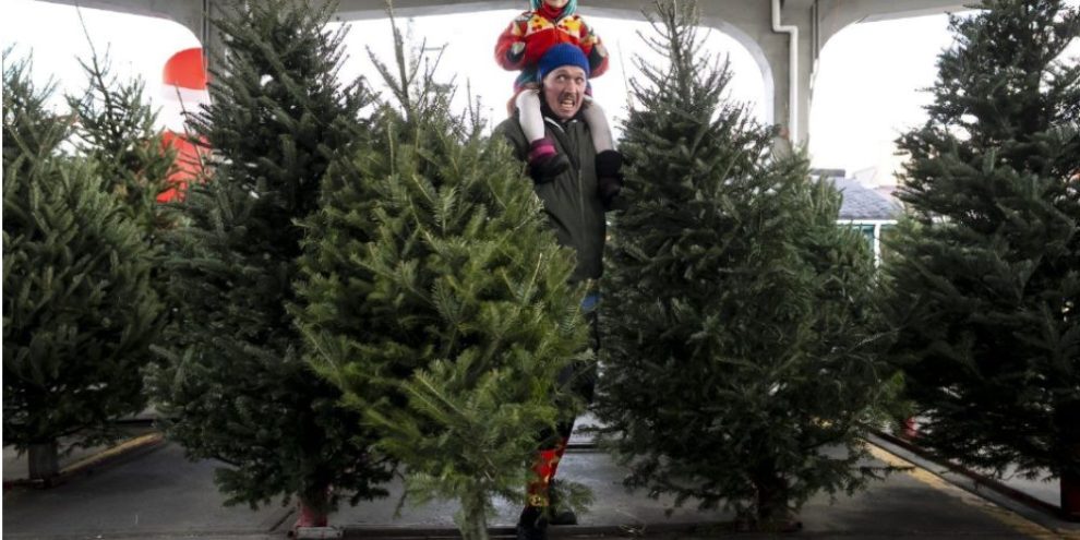 Christmas Tree sellers seeing high demand this year despite some price increases