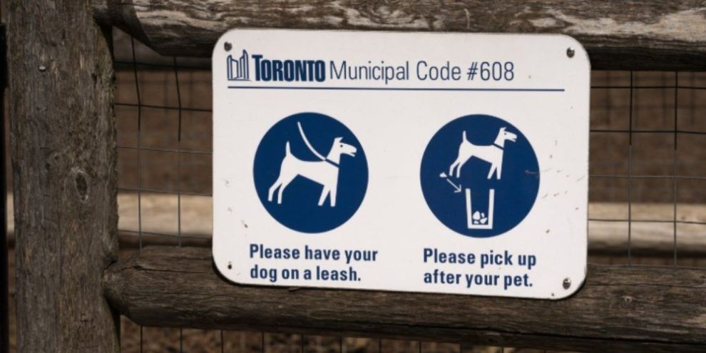 Woman whose dog attacked child in Toronto sentenced to a year in jail