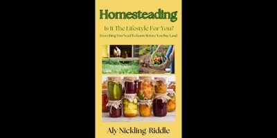 Homesteading? Here’s what one off-grid family wants you to know