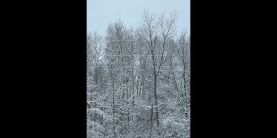 Essa Township declares Extreme Weather Event