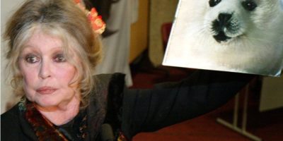 French actor Brigitte Bardot remembered in Canada for fighting seal hunt