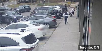 13 people arrested in alleged violent crime network; YRP police say 2 more sought