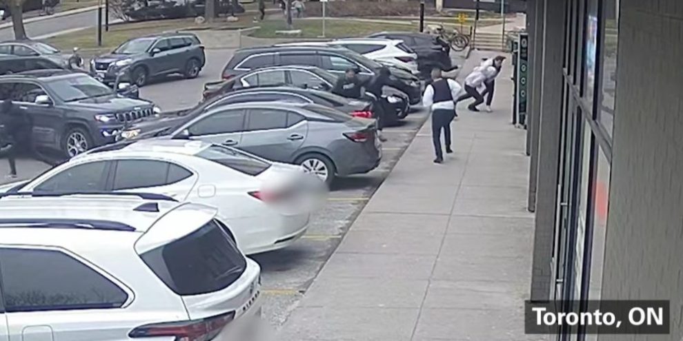 13 people arrested in alleged violent crime network; YRP police say 2 more sought