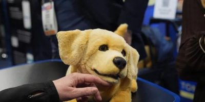 What to expect from CES 2026, the annual show of all things tech?