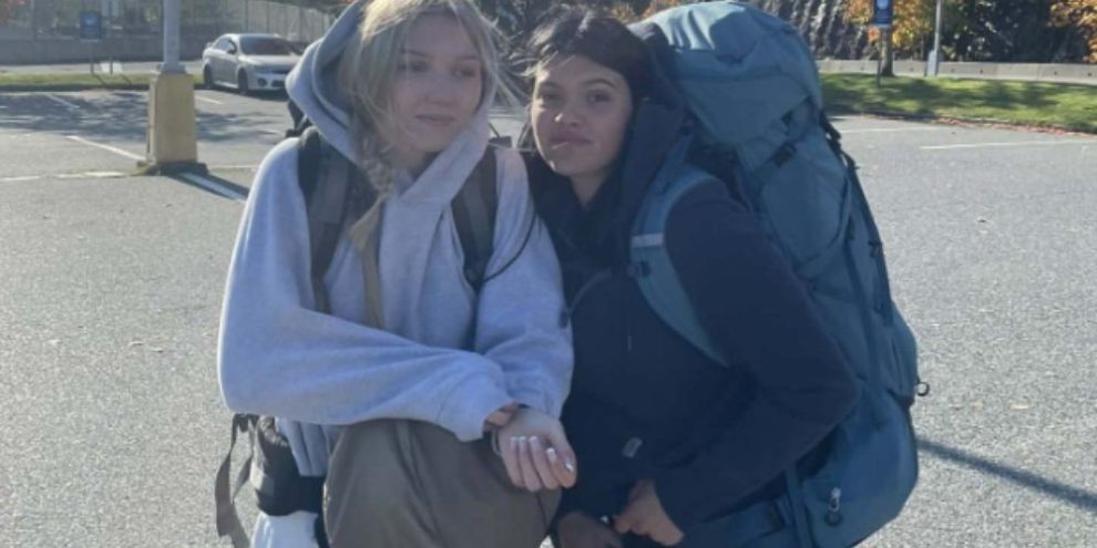 Dingoes not likely to have killed Canadian found dead on Australia beach: autopsy