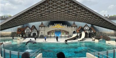 Marineland has solid plan to move whales and dolphins to U.S., minister says