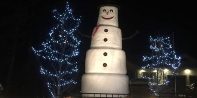 The Tiny Giant is a food bank fundraiser