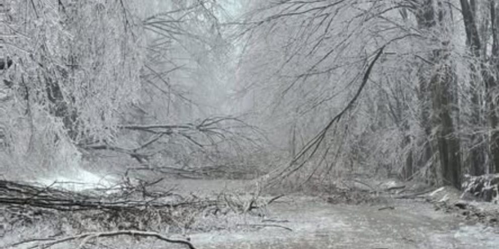 Ice storm damage with fallen trees and debris along Line 1 near Old Barrie Road in Oro-Medonte Township following the March 2025 storm.