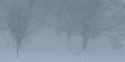 Snow falls over St. Vincent Park in Barrie during a winter storm