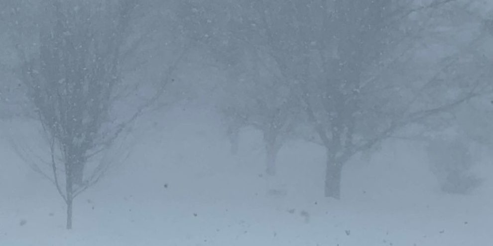 Snow falls over St. Vincent Park in Barrie during a winter storm