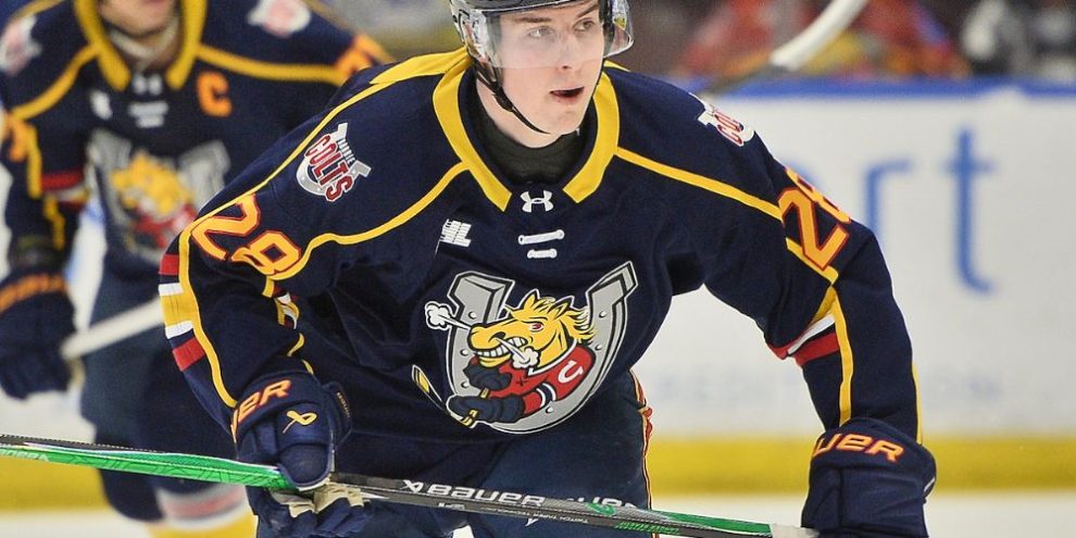 Colts on brink of elimination after second home loss to Bulldogs