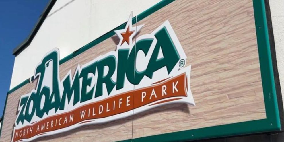 Parents charged after toddler slips into wolf area and gets hurt at Hersheypark zo