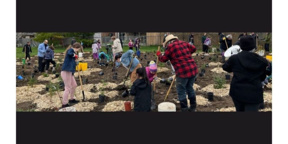Community Tree Planting @ Shalom Park Free for all and students can collect volunteer hours.