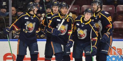 Are the Barrie Colts About to Change Hands?